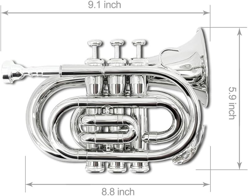 ModouString Bb Pocket Trumpet with Case,Mouthpiece, Cleaning Cloth Brass Musical Instruments for Students and Beginners (silver) - Image 2